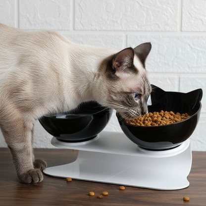 TiltFeed │ Raised Cat Feeding Bowl