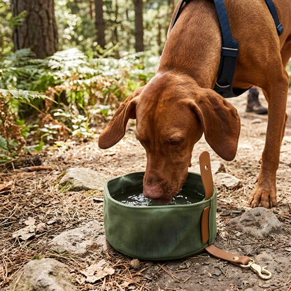 TrailSip │ Foldable Travel Dog Bowl