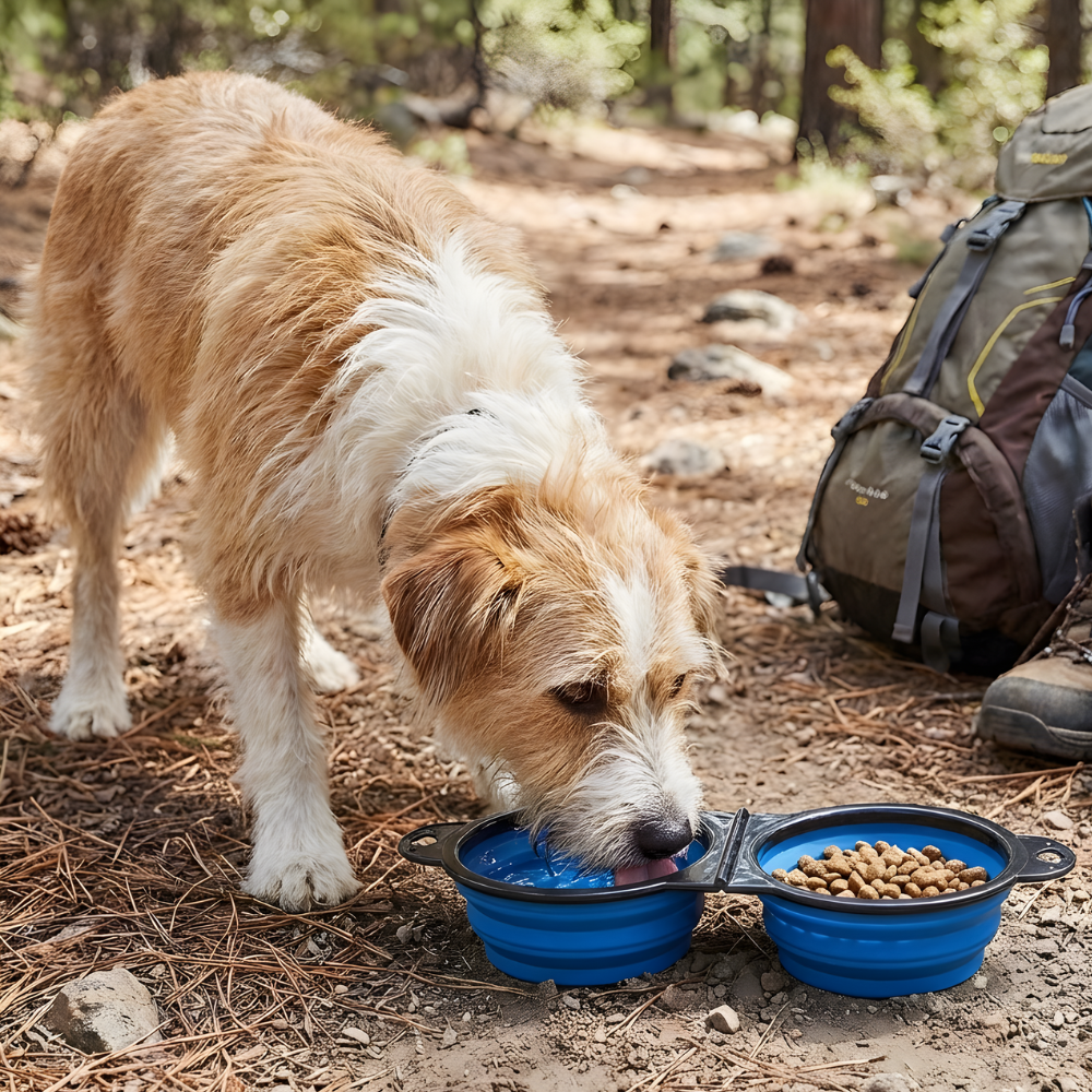 TravelTails │ 2 in 1 Foldable Pet Bowl
