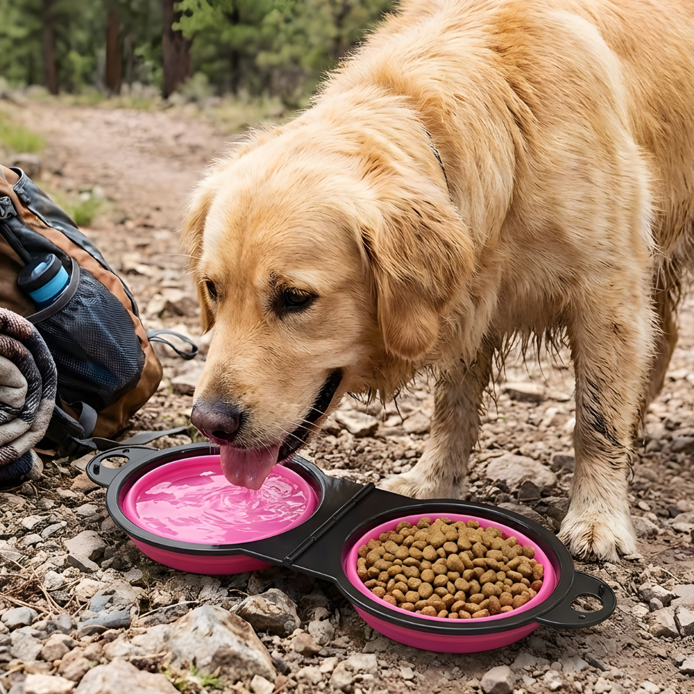 TravelTails │ 2 in 1 Foldable Pet Bowl