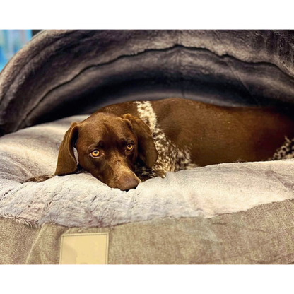 PawHaven | Dog Cave Bed