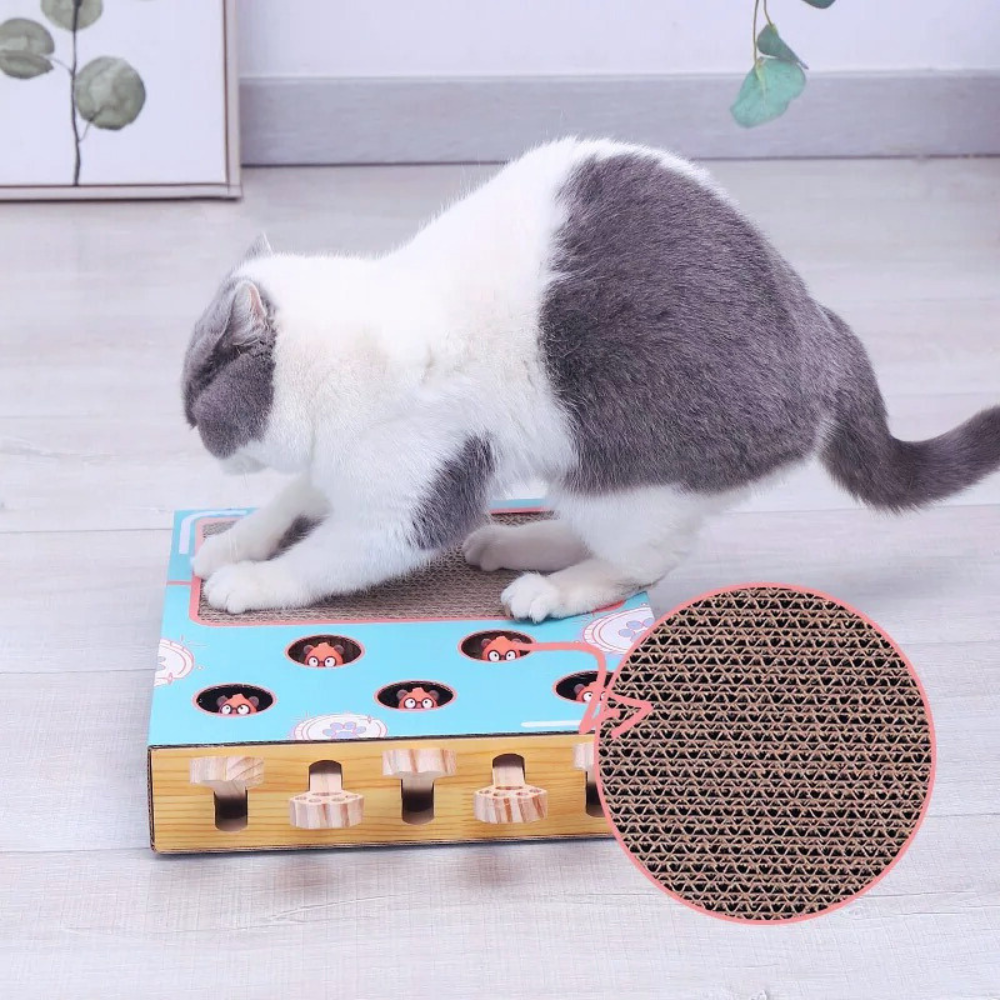 WhackNest | interactive cardboard scratcher cat toy