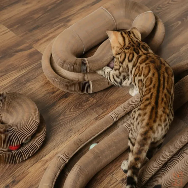 WhirlNest │ Cat Toy with Built In Scratching Pad