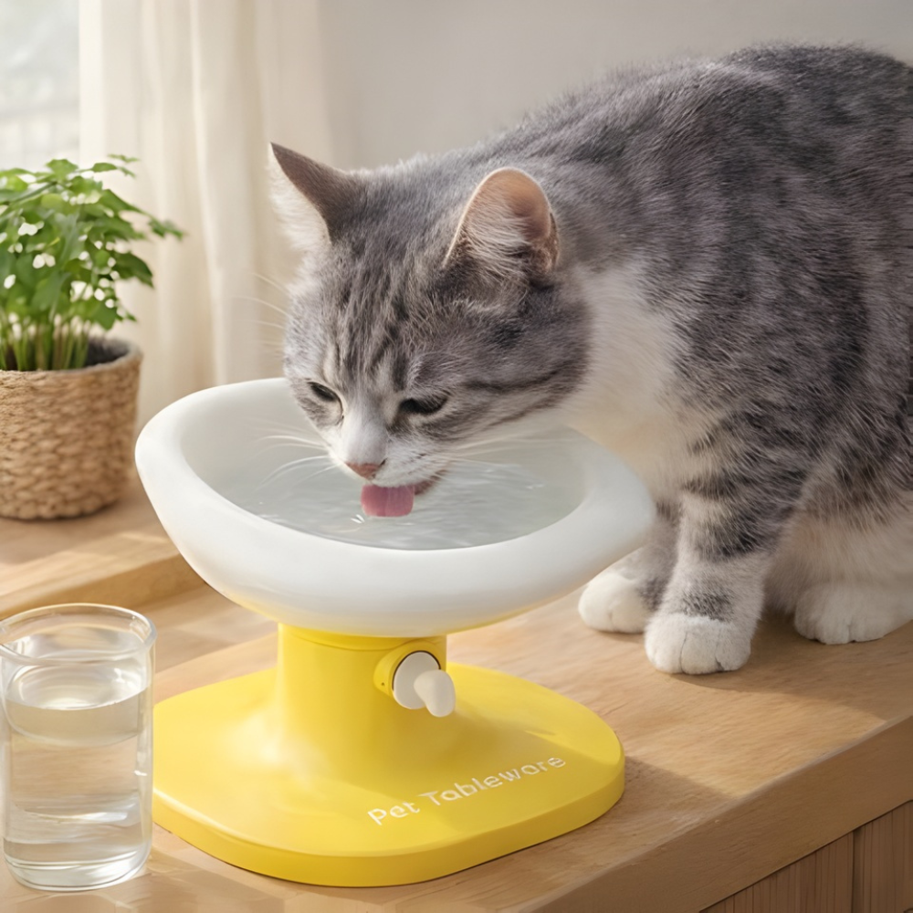 YolkRise │ Adjustable Ergonomic Cat Feeding Bowl for Clean Comfortable Meals