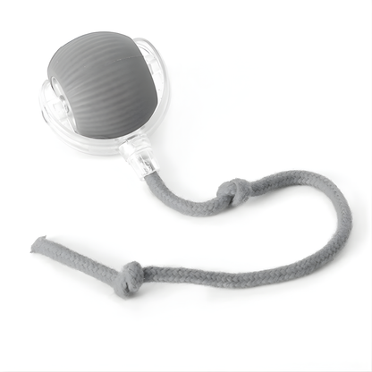 ZoomTether | Interactive Dog Chase Toy