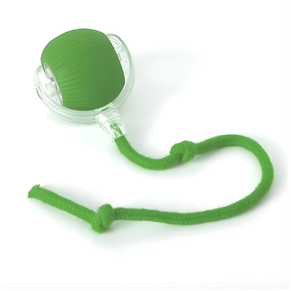 ZoomTether | Interactive Dog Chase Toy